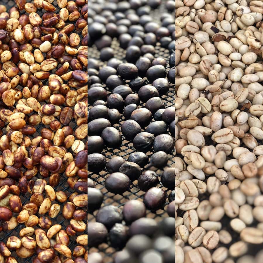 Salento: Coffee Farm Tour with Tasting - Timing, weather, and what to bring