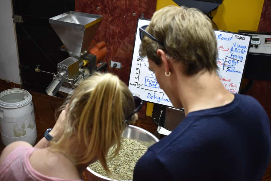 Salento: Coffee Master Roasting, Brewing and Tasting Tour - Four Pour-Over Brewers, Four Different Results
