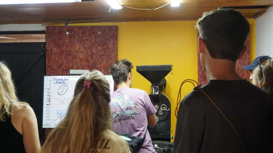 Salento: Coffee Master Roasting, Brewing and Tasting Tour - Roasting Your Own 2-Kilogram Batch