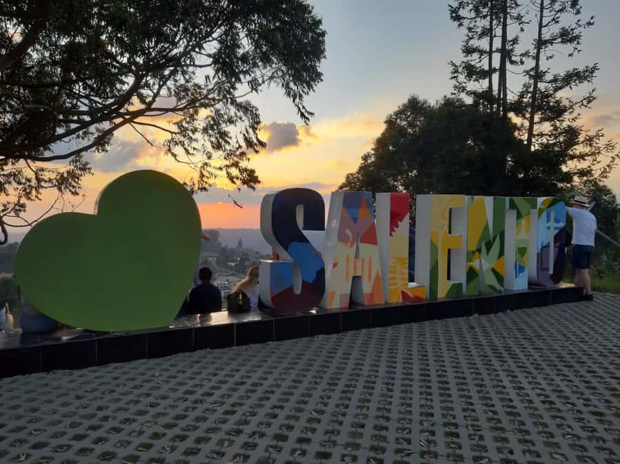 Salento: Private Cocora Valley, Salento & Coffee Farm Tour - Why this Salento day makes sense