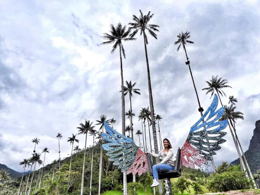 Salento: Private Cocora Valley, Salento & Coffee Farm Tour - The hike: beautiful, uneven, and not a stroll