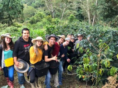 Private Cocora Valley, Salento & Coffee Farm Tour