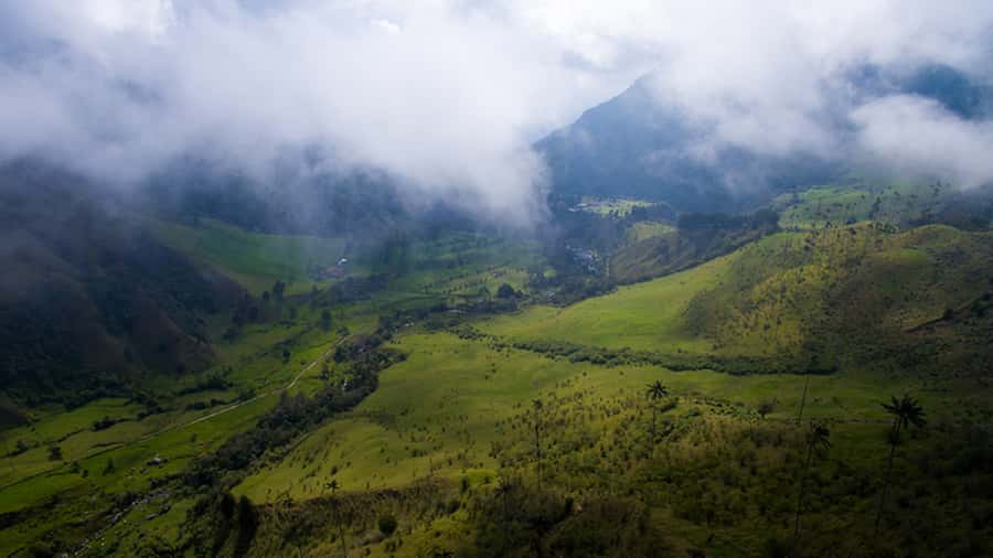 Salento: Private Cocora Valley, Salento & Coffee Farm Tour - Lunch is your own decision and your own cost