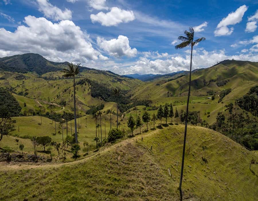 Salento: Private Cocora Valley, Salento & Coffee Farm Tour - Inside the coffee farm, from cherry to cup