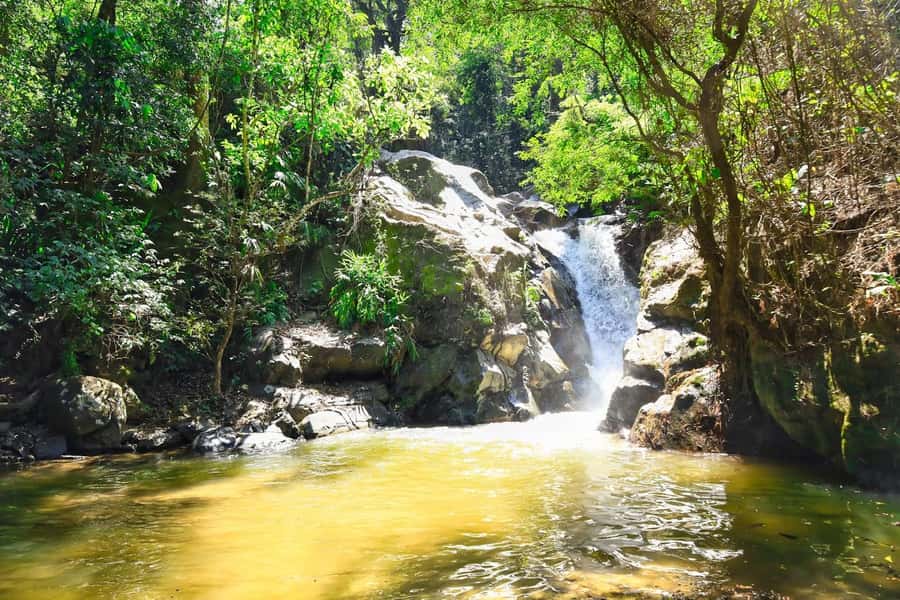 Santa Marta: Minca Coffee, Cocoa, & Waterfall Full-Day Trip - Cooling off in the Minca River pools