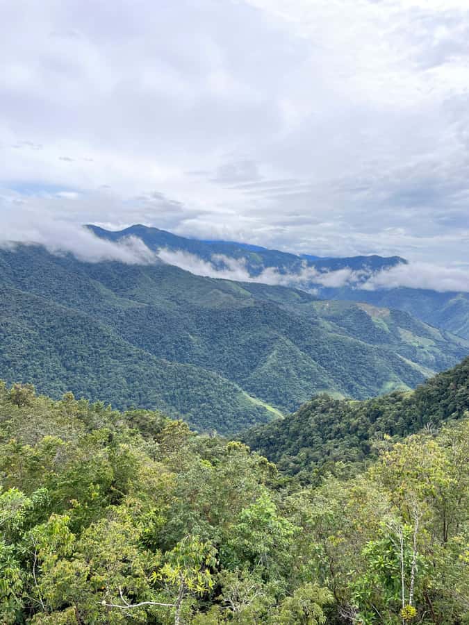Santa Marta: Minca Coffee, Cocoa, & Waterfall Full-Day Trip - Cocoa, chocolate, and a hands-on workshop