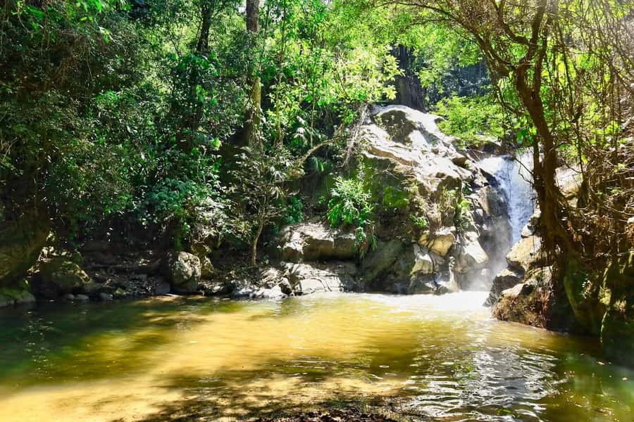 Santa Marta: Minca Coffee, Cocoa, & Waterfall Full-Day Trip - How much walking should you expect?
