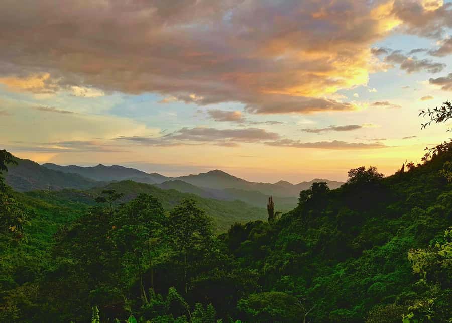 Santa Marta: Minca Coffee, Cocoa, & Waterfall Full-Day Trip - Is $78 a fair price?