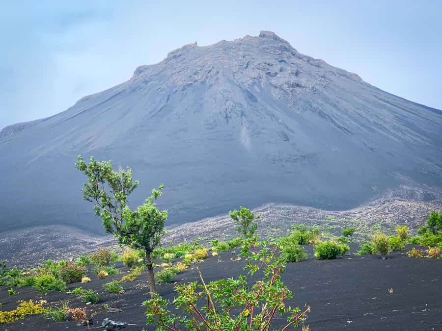 Sao Filipe: Coffee Plantation and Natural Pools Day Trip - Mosteiros and the story of Fogo coffee