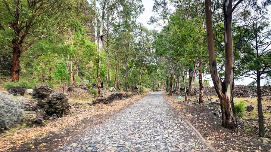 Sao Filipe: Coffee Plantation and Natural Pools Day Trip - Who should book this experience?