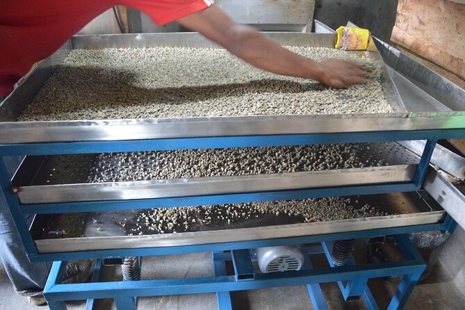 Sarangkot Village Coffee Culture and Authentic Local Life Tour - Starting beside Phewa Lake at 11:15 am