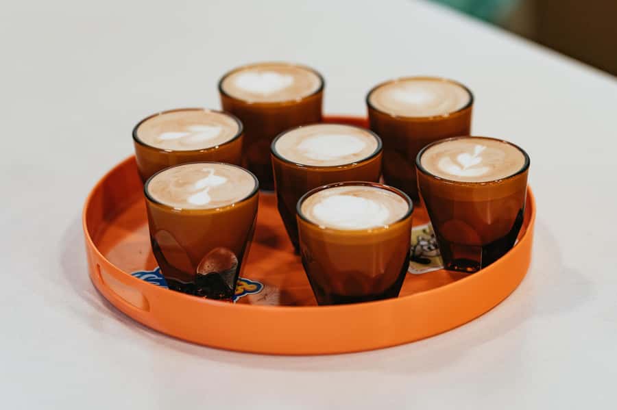 Seattle: Coffee Culture Walking Tour - The Capitol Hill walk between cafe stops