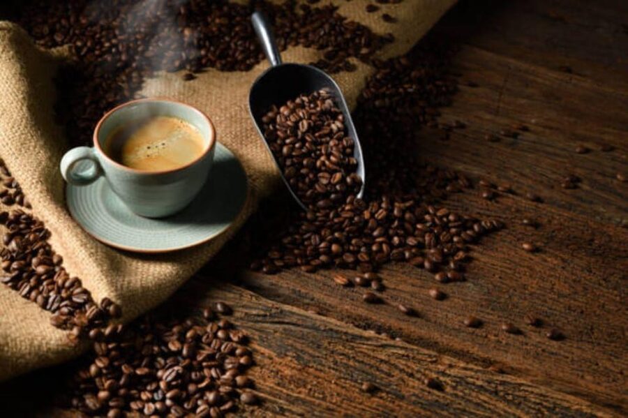 Seattle: Roasted in Seattle Ultimate Coffee Tour - Tasting Anchorhead and learning to judge coffee