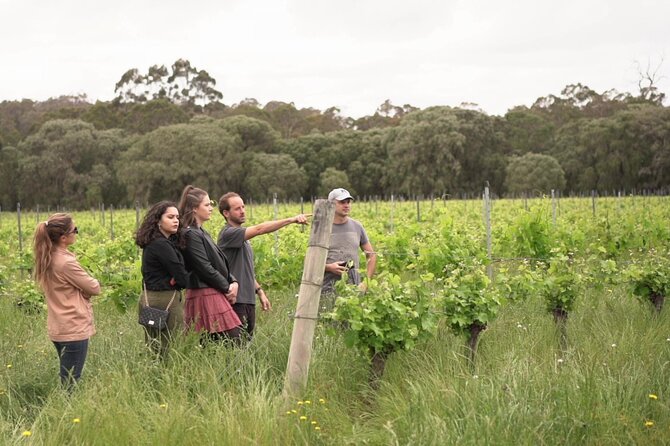 Secret Delights: Curated Wine, Coffee & Forest Experience - Why this tour works beyond the usual wine route