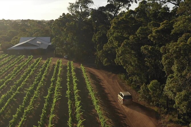 Secret Delights: Curated Wine, Coffee & Forest Experience - Brown Hill Estate and the first look at Margaret River wine