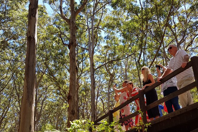 Secret Delights: Curated Wine, Coffee & Forest Experience - Redgate Wines and a second style of tasting