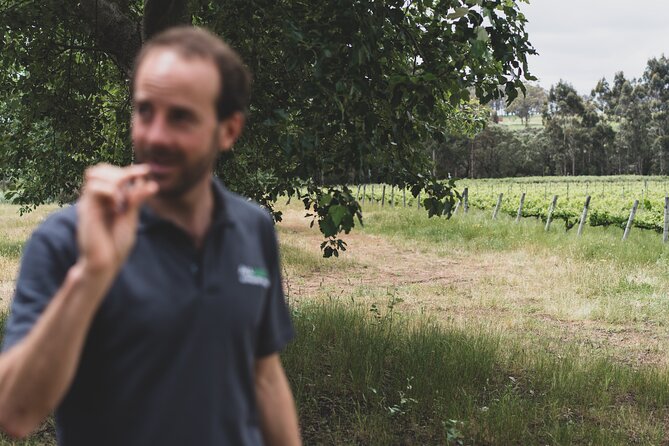 Secret Delights: Curated Wine, Coffee & Forest Experience - Is $120 a fair price?