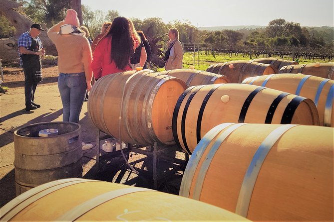 Secret Delights: Curated Wine, Coffee & Forest Experience - Starting with a 55-minute coffee lesson