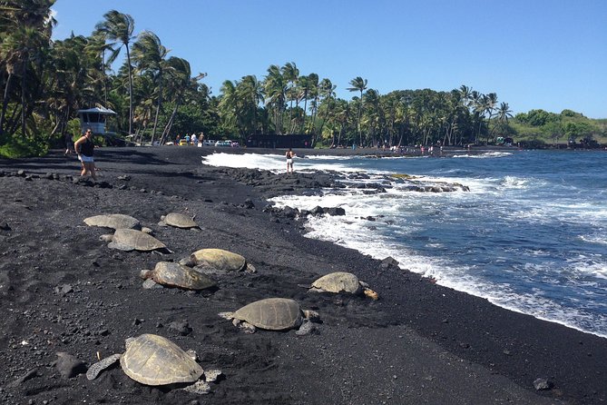 Small-Group Big Island Tour: Hawaii Volcanoes National Park and Kona Coffee Farm - Why this tour makes sense from Kona