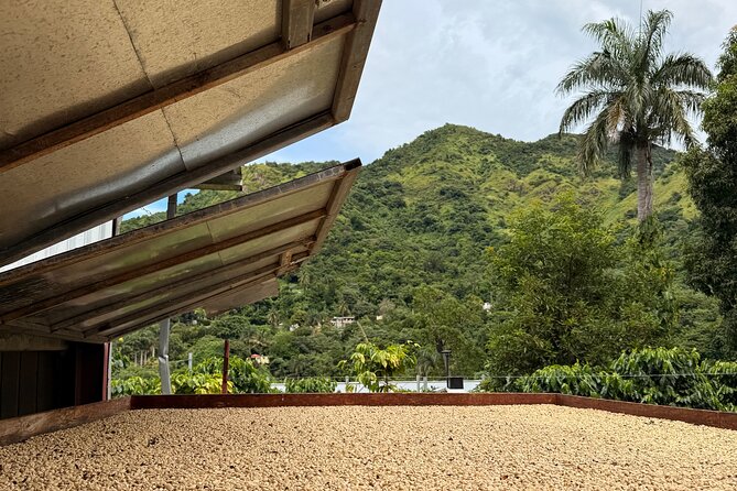 Sueños de Cafe - A Coffee Lovers Dream - Key details at a glance