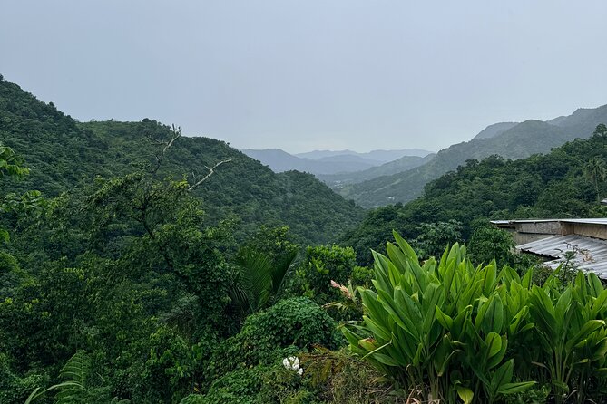 Sueños de Cafe - A Coffee Lovers Dream - Why Jayuya makes this coffee day special