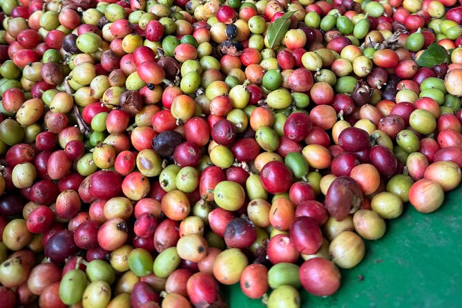Sueños de Cafe - A Coffee Lovers Dream - A cool pause at Cascada Las Delicias