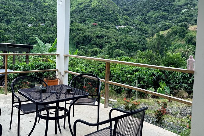 Sueños de Cafe - A Coffee Lovers Dream - The guides and the feel of the day