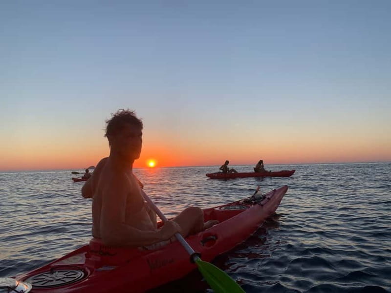 Sunrise Kayak Tour / Snorkeling and Italian Coffee Included - What the $65 price gets you