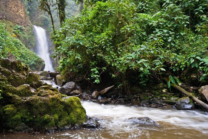 Super Combo Tour: Waterfalls Gardens + Coffee Tour + Poás Volcano - Breakfast and coffee at Doka Estate