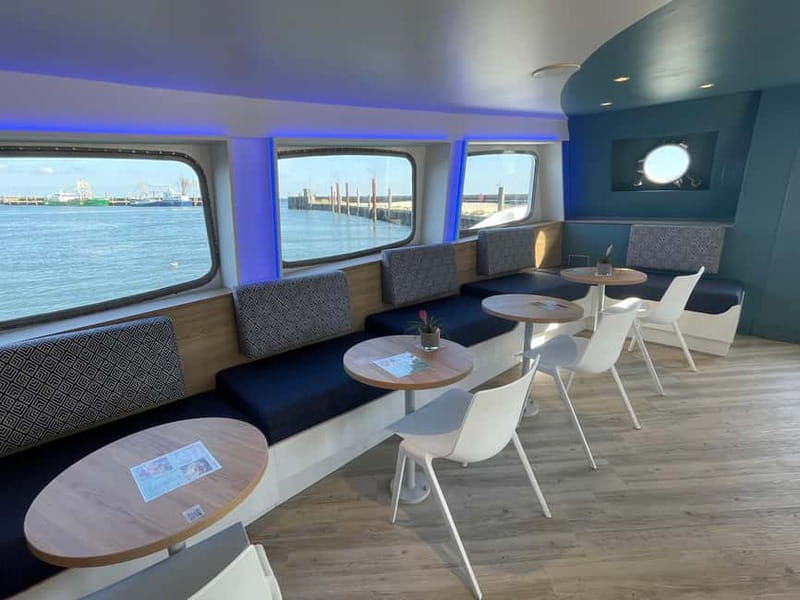 Sylt: Boat tour - afternoon cruise | coffee & cake available - What You Actually See in 50 Minutes