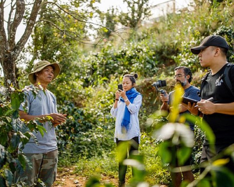 Tea & Coffee Tour - Choosing between wine and the Tea Museum
