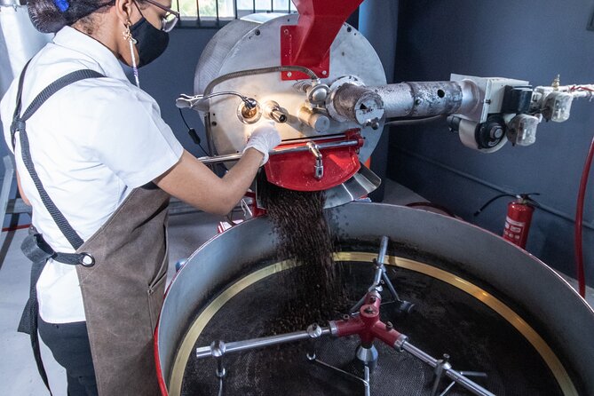 The Coffee Experience - Starting with Dominican coffee in the mountains