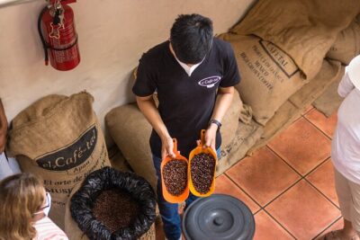 The Colors of Coffee in the Farms of Coatepec