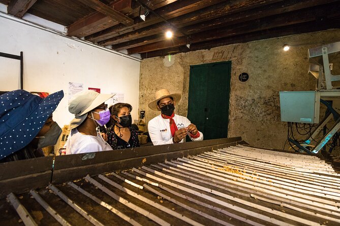 The Colors of Coffee in the Farms of Coatepec - Is $134.65 a fair price?