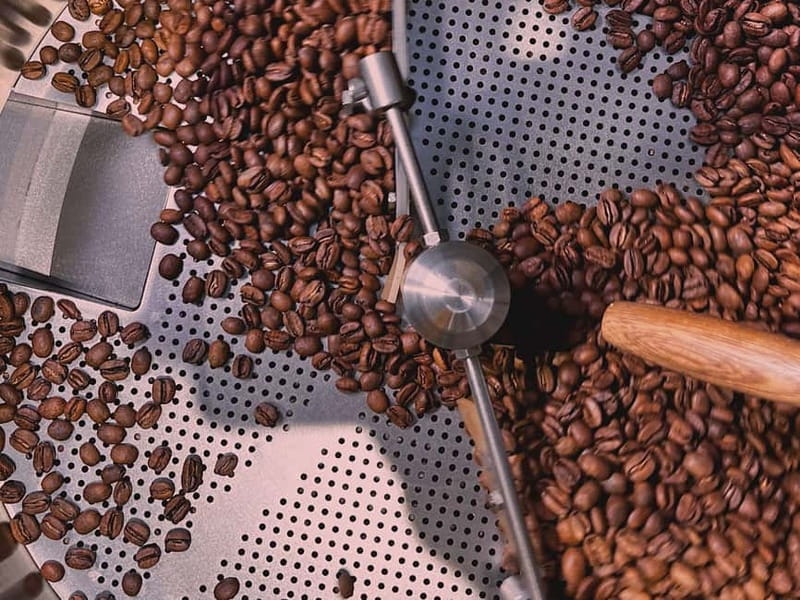 The Specialty Coffee Roastery Tasting Experience in Turin - Comparing two filter coffees