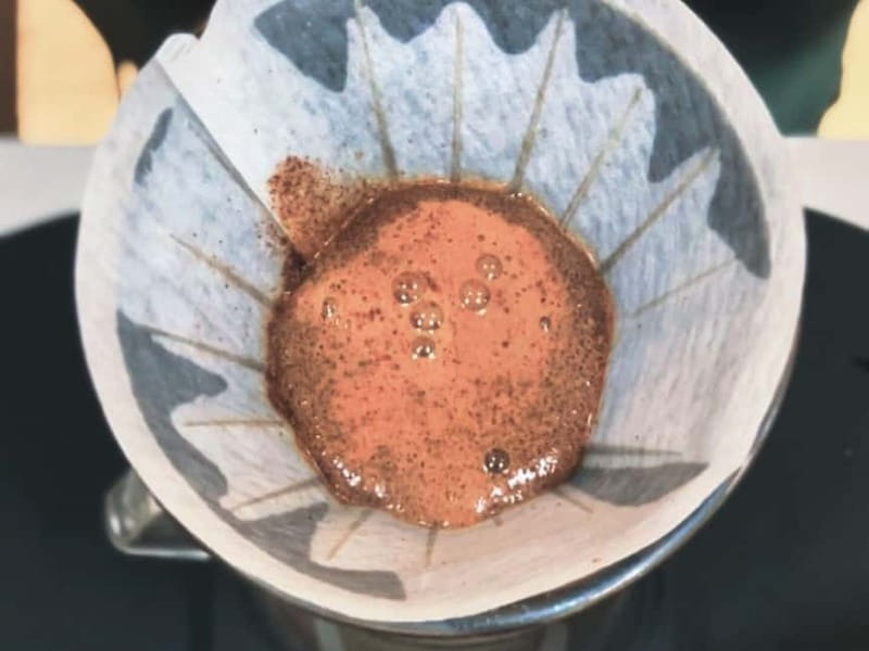 The Specialty Coffee Roastery Tasting Experience in Turin - Languages, timing, and practical planning