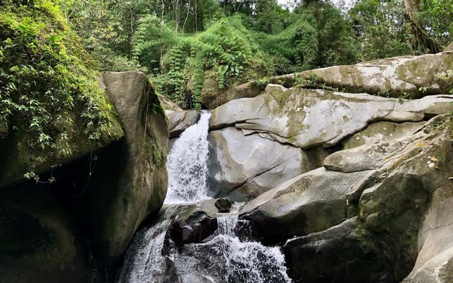 Trekking History and Indigenous Heritage in Minca + Cacao & Coffee + Waterfall - At Cabanas Bosque Cacao with an Arhuaco family