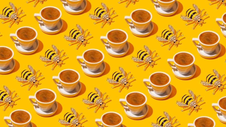 Turkish Coffee Fortune Ceremony - Sweet treats and the right pace for the ritual