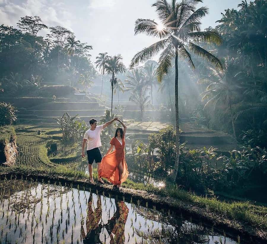 Ubud: Waterfall, Holy Water Temple,Swing&coffee plantation - Tirta Empul offers Bali’s most meaningful stop