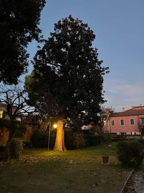 Venice: Sunrise Walking Tour with Espresso - Meeting your guide at Caffè Florian