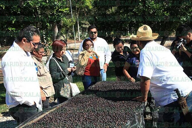 Visit to Coffee Farm with Tasting in Coatepec - The guide’s style and the group size