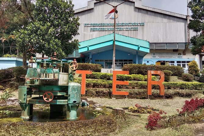 Volcano, Hot Spring, Tea Factory, rice fields and Coffee Tour - Why This West Java Day Trip Works