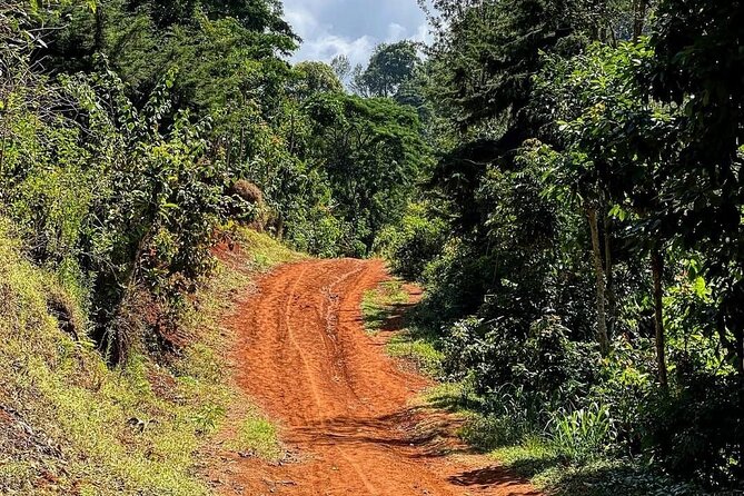 Waterfall, coffee tour & hot springs - lunch and drinks included - What $99 includes, and where the value lies