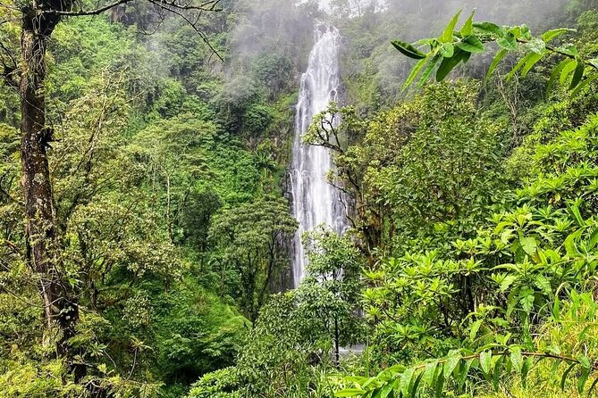 Waterfall, coffee tour & hot springs - lunch and drinks included - Who should book this experience
