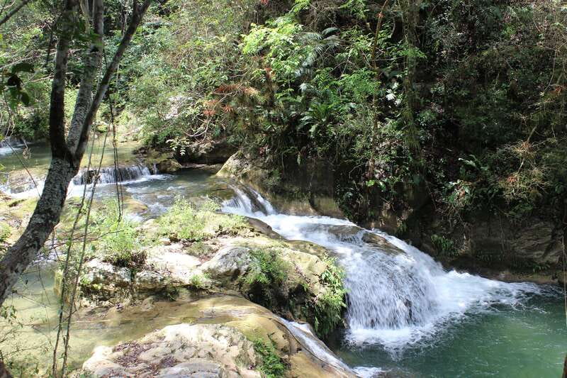Waterfalls, Coffee and Adventure Tour, Huatulco - Following the trail through plants and insects