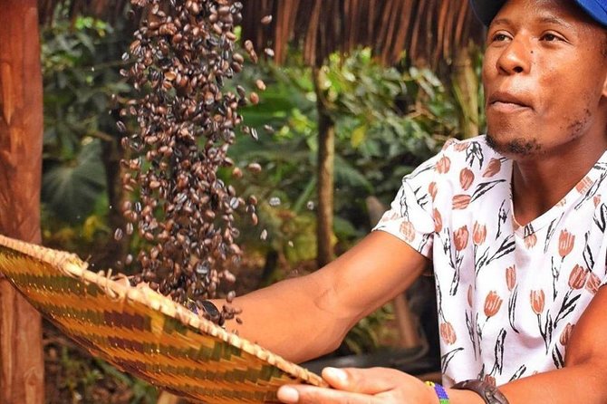 Waterfalls, Coffee, Hotsprings, Food Cuisine, & Serval Wildlife - Key points at a glance
