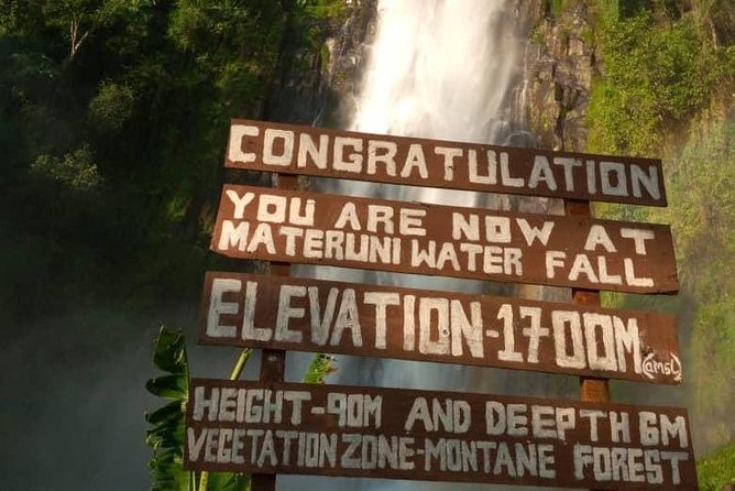 Waterfalls, Coffee, Hotsprings, Food Cuisine, & Serval Wildlife - Walking to Materuni Waterfalls