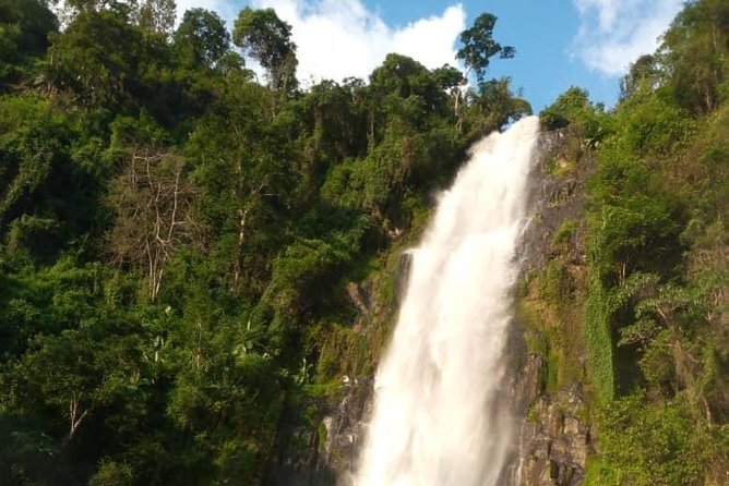 Waterfalls, Coffee, Hotsprings, Food Cuisine, & Serval Wildlife - The early start and road to Materuni