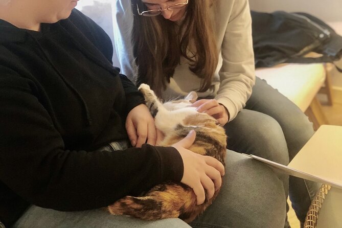 Whiskers & Coffee: Relax and Play with Adorable Cats - A gentle break at El Salón de Mi Casa Cat Café