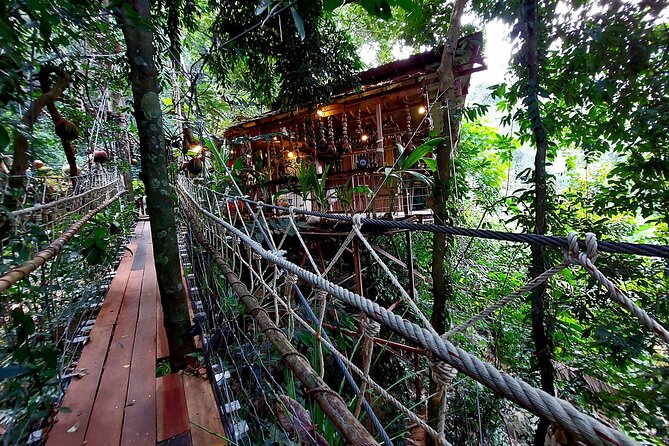 Zipline & Coffee with Waterfall Views in Koh Samui - Who will enjoy this most